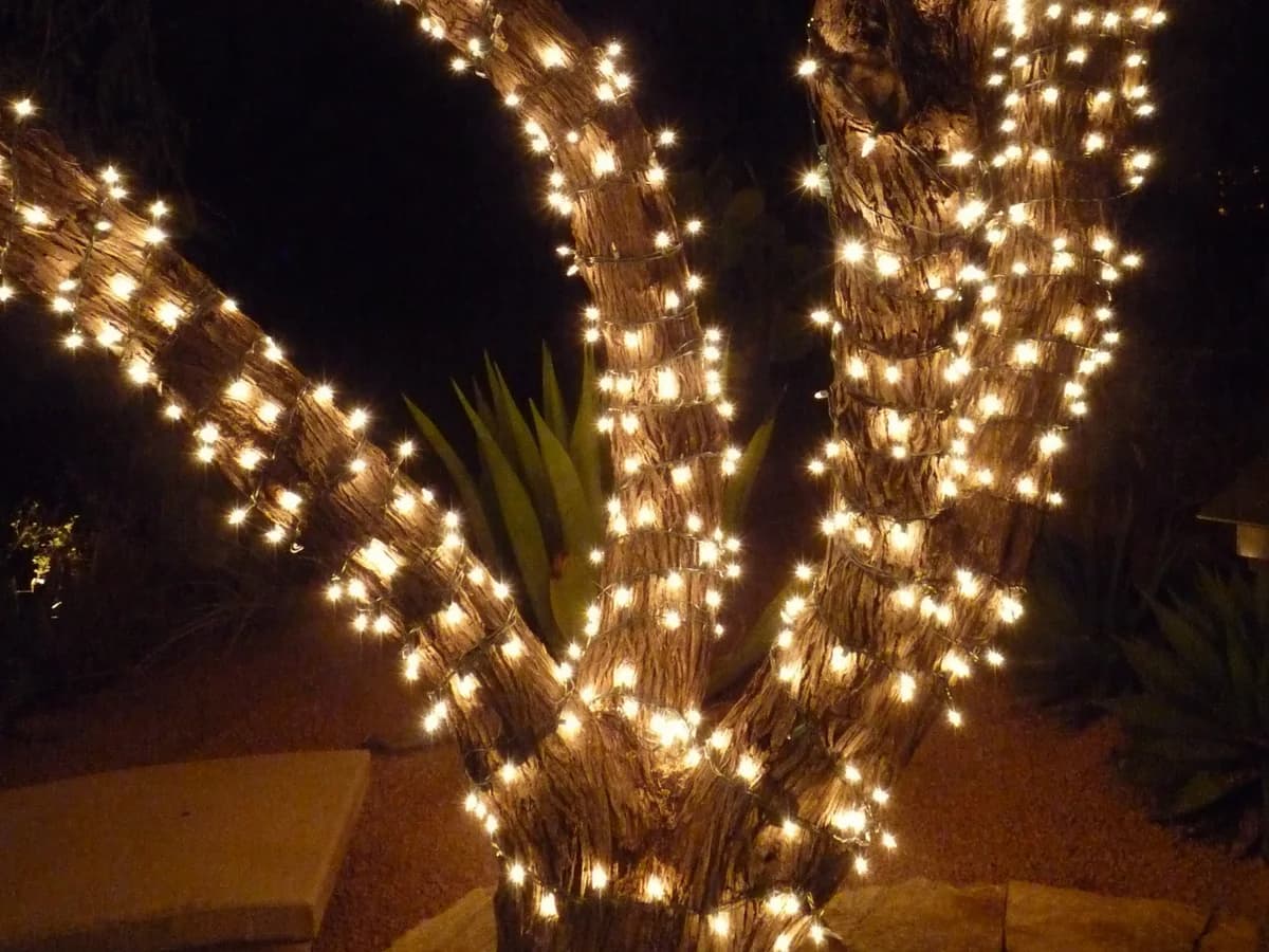 Warm white mini lights wrapped closely around a broad tree trunk and its lower branches at night.